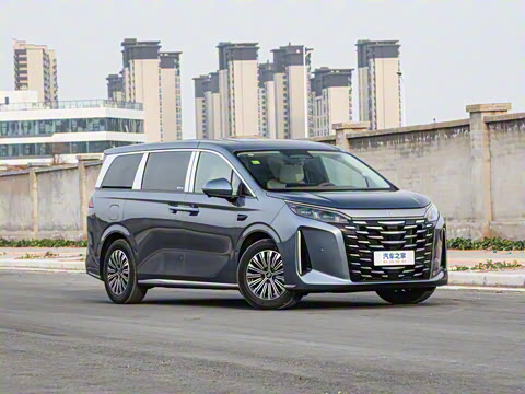 2025�� DM-i 1.5T 100km ��Խ��