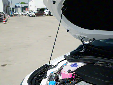 2025�� 145km ������