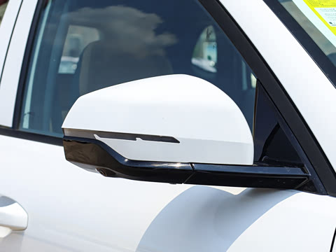 2025�� 55km ������