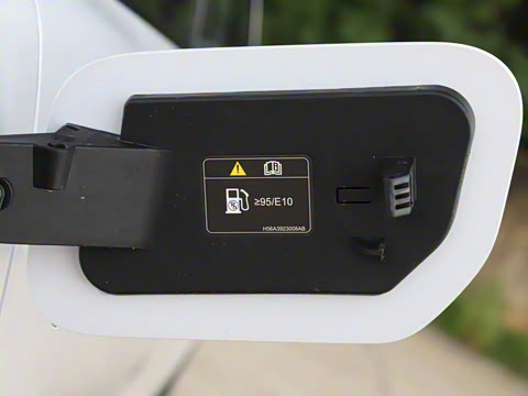 2025�� FREE+ ����Ǭ����