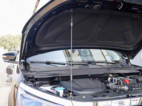 2025�� ��Խ�� 1.6TD DCT���� 7��