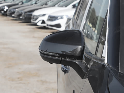 2025�� 530TSI �����콢ʤ��Pro ������ 6��