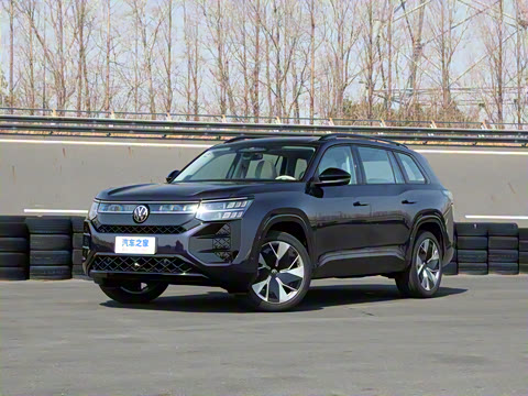 2025�� ;�� Pro 450TSI �����ݺ��