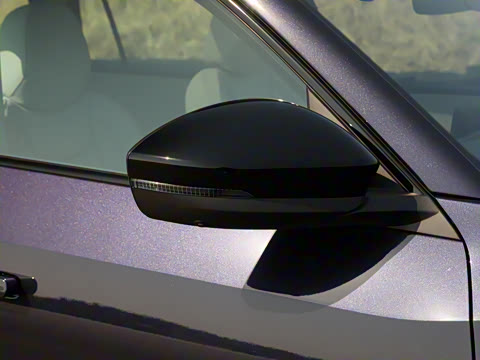 2025�� ;�� Pro 450TSI �����ݺ��