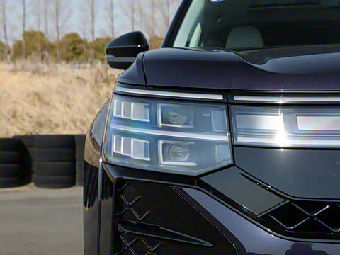 2025�� ;�� Pro 450TSI �����ݺ��