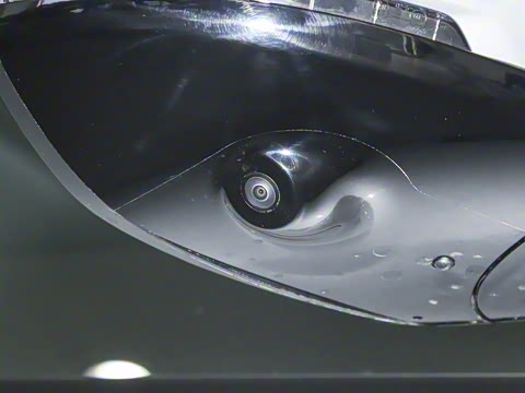 2025�� 636Max���Ȱ� 6��