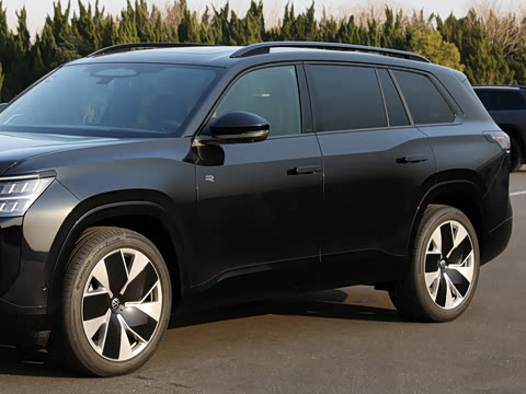 2025�� ;�� Pro 450TSI �����Ƿ��