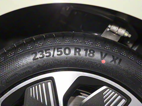 2025�� 550��ѡ��