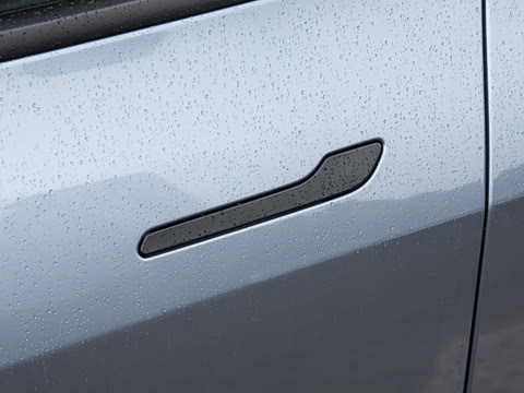 2025�� ����������