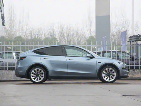 2025�� ����������