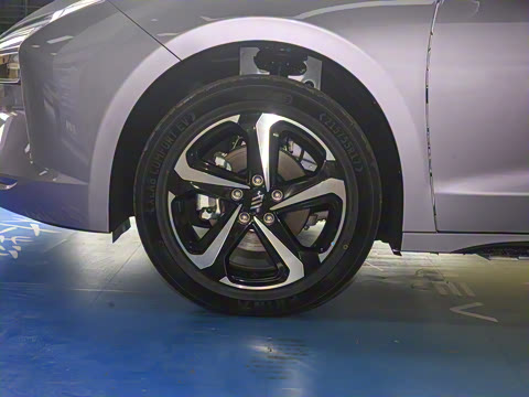 2025�� ���05 ������