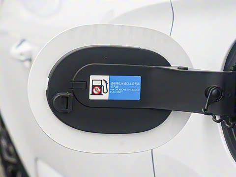 2025�� DM-i �Ǽݰ� 115KM������