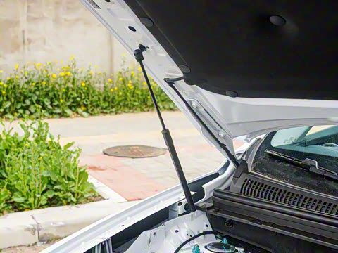 2025�� DM-i �Ǽݰ� 115KM������