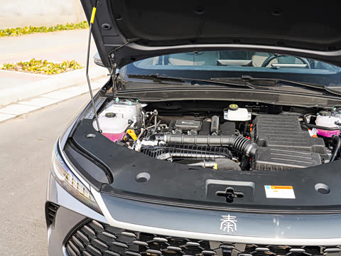 2025�� DM-i �Ǽݰ� 55KM������