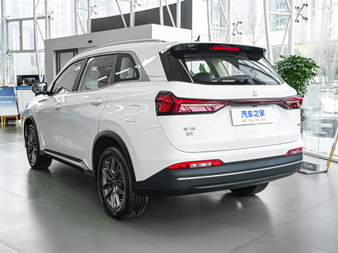 2025�� 120km ��׼������ 5��