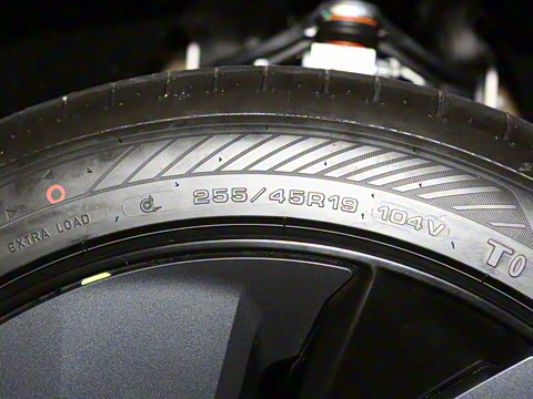 2025�� ����������