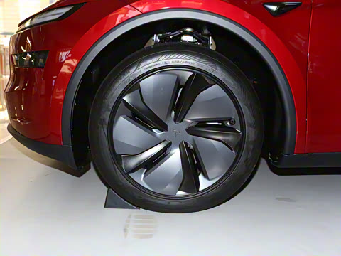 2025�� ����������