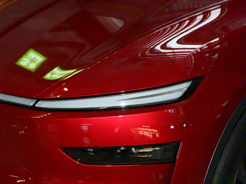 2025�� ����������