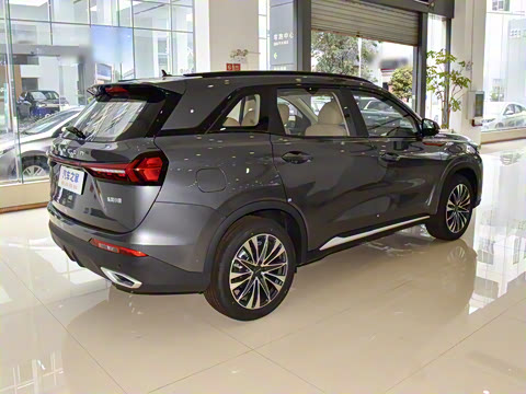 2025�� 1.5T �Զ���ҫ�� 7��