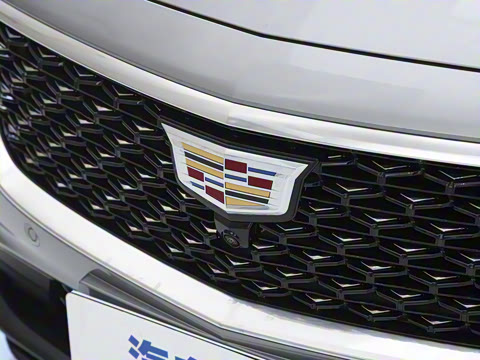 2025�� 28T �����˶���