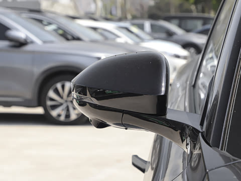 2025�� 636Max���Ȱ� 5��