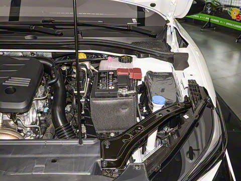 2025�� 1.5T XLINE �����