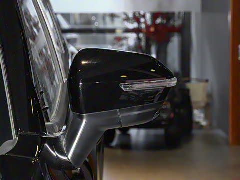 2025�� ������