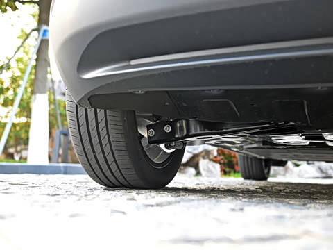 2025�� �����