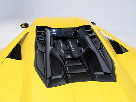 2025�� ������