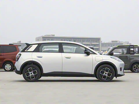 2025�� 420������