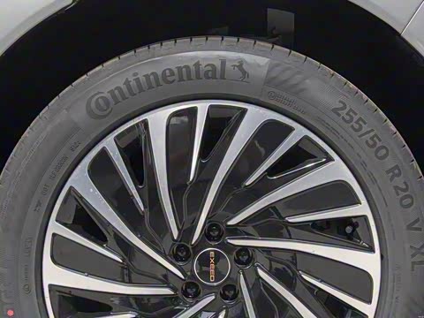 2025�� ���� 265 Pro�������ٸ�����ʻ