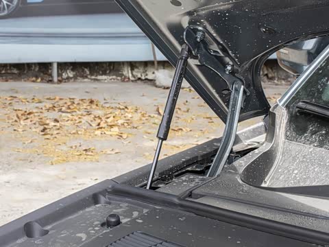 2025�� ���� 265 Pro�������ٸ�����ʻ