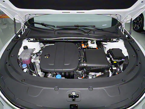 2025�� �������̰� 230�콢��