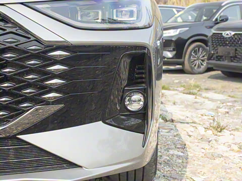 2025�� 1.6T DCT ������+