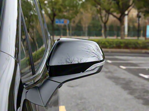 2025�� �캽��