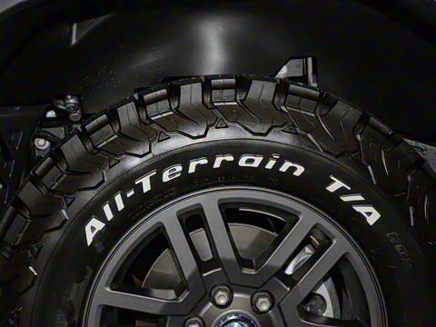 2025�� Trialmaster��