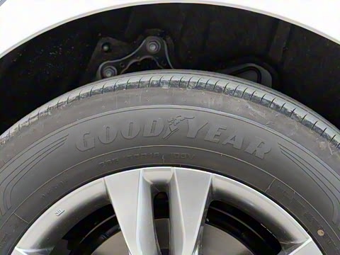 2024�� 2.5L�춯 ����������