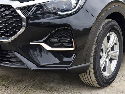 2025�� 1.5T �ֶ���Խ�� 5��