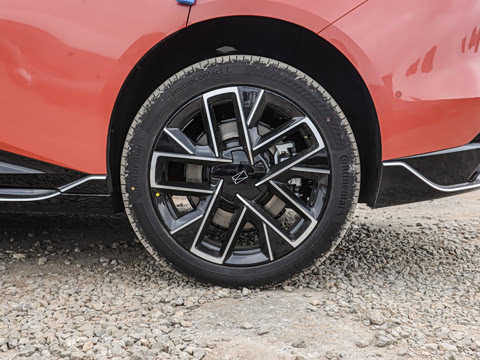 2025�� Max�����