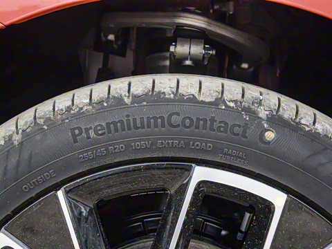 2025�� Max�����