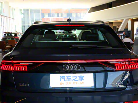 2023�� 55 TFSI ����������