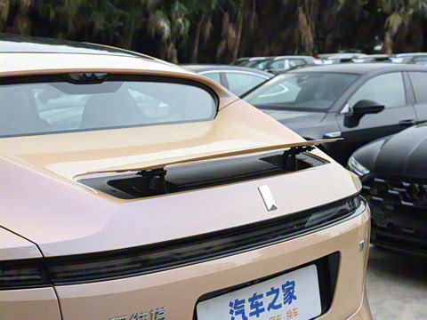 2025�� Max �����