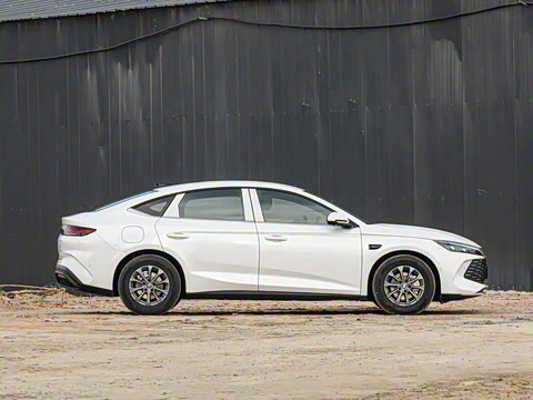 2025�� DM-i �Ǽݰ� 80KM������