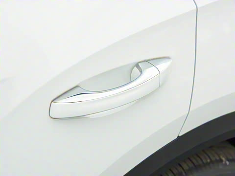 2025�� 300TSI DSG�����ǹ��