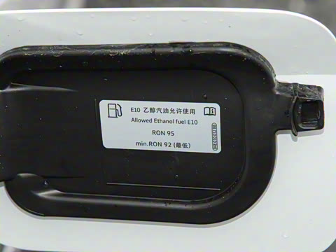 2025�� 300TSI DSG���������