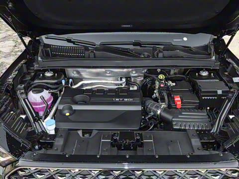 2025�� 290TGDI DCT�˷�� 