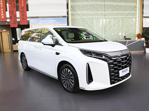 2025�� DM-i 1.5T 180km ��Խ��