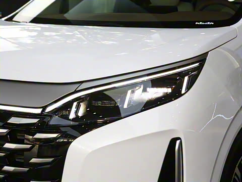 2025�� DM-i 1.5T 180km ��Խ��