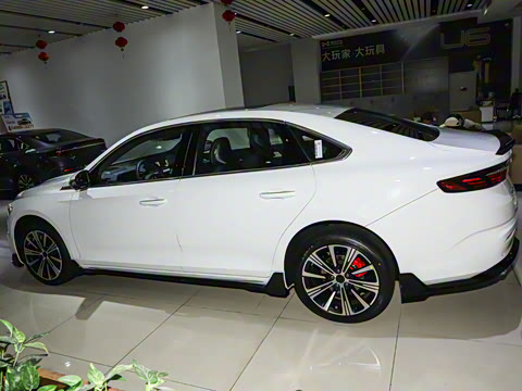 2025�� ������ 2.0TD ���°�