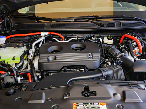 2024�� 1.5T ���������춯��